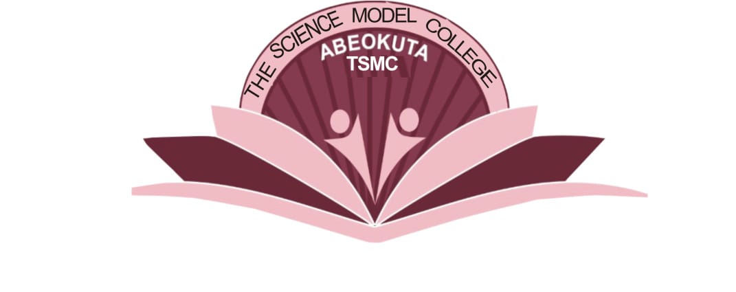 TSMC Logo